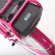 pedego bike back end showing battery