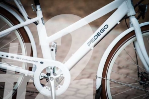 centre of a pedego with pedals