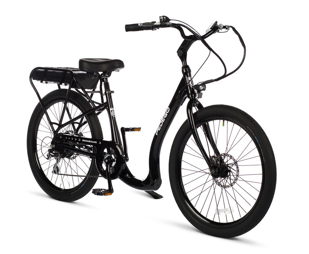 Low Step Electric Bike