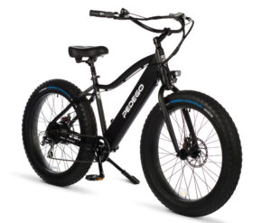 Electric Fat Tire Cruiser Bike