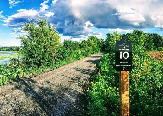 Photo Credit: The County