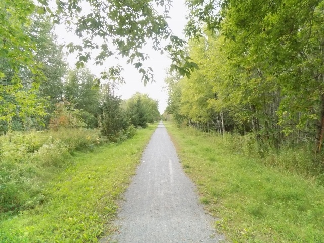 Pedego Electric Bikes Canada Rentals Tours