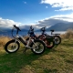 Pedego Element Bike Parked in Okanagan Scene