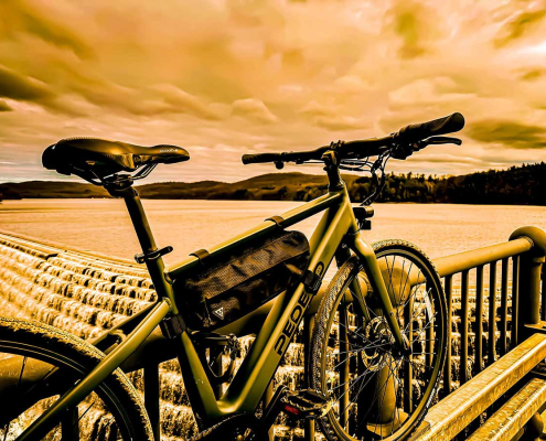 Pedego Avenue ebike parked on bridge with cargo.