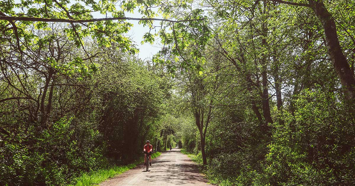 A person riding a pedego electric bike on a treed gravel road.