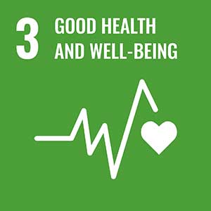 United Nations Sustainable Goal 3 is achieved through riding an electric bike
