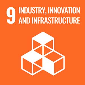 United Nations Sustainable Goal 9 is achieved through riding an electric bike