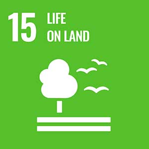 United Nations Sustainable Goal 15 is achieved through riding an electric bike