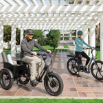 Pedego Fat Tire Trike in Canada