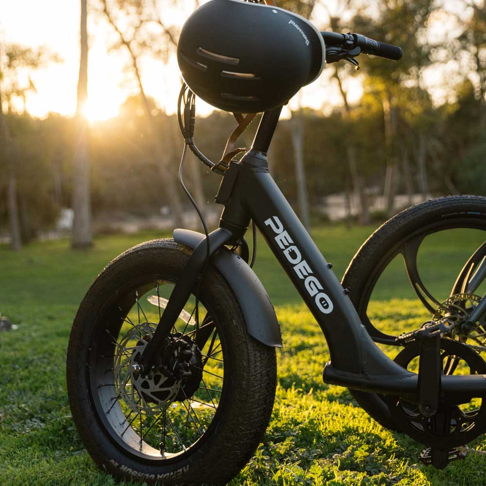 Pedego-Fat-Tire-Trike-3