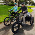 Pedego Fat Tire Trike in Canada