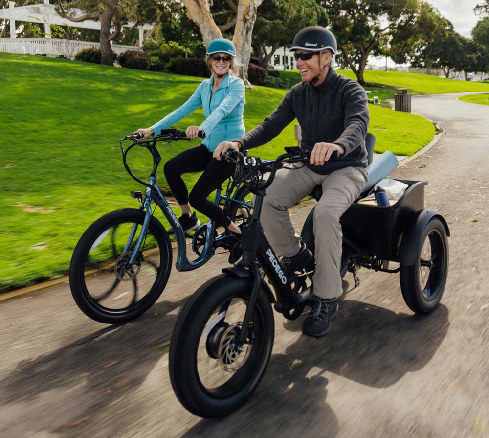 Pedego Fat Tire Trike in Canada