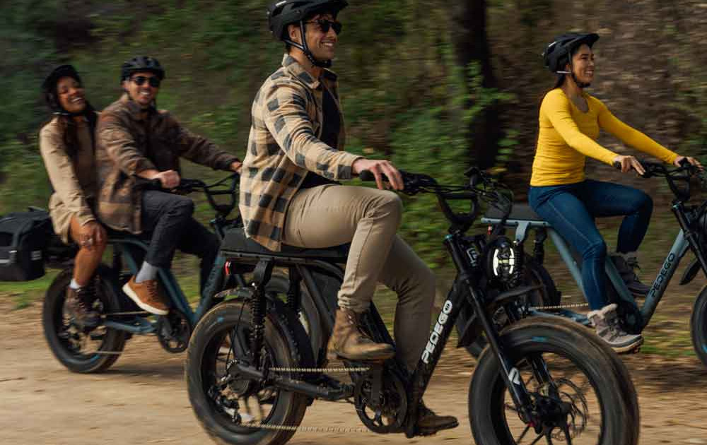 Pedego Moto Pedego Moto Duel Sport Ebike in Canada