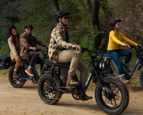 Pedego Moto Duel Sport Ebike in Canada